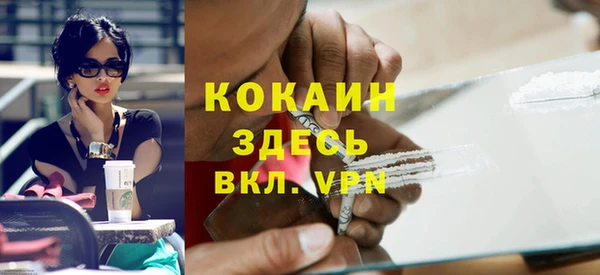 прущие грибы Медногорск
