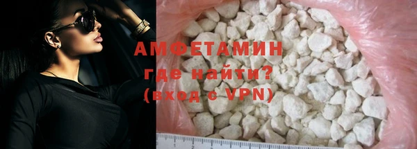 прущие грибы Медногорск