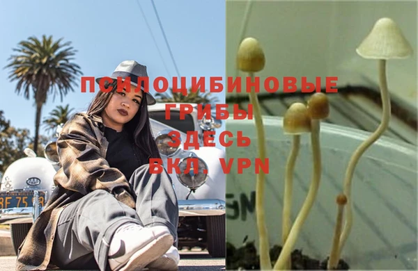 MDMA Горняк
