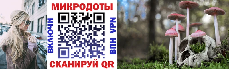 Галлюциногенные грибы Magic Shrooms  где купить   Губкин 