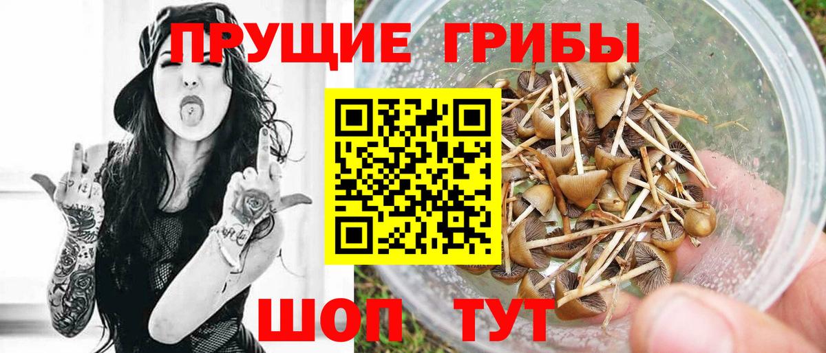 Галлюциногенные грибы мицелий  Вход с VPN  Губкин 