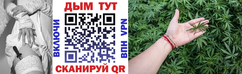 Бошки марихуана семена маркетплейс формула Губкин MEGA зеркало